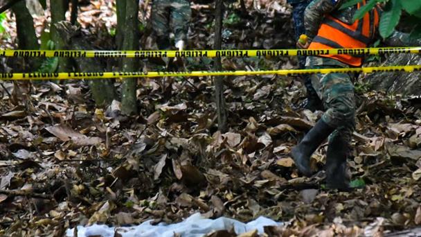Autoridades acordonan área en finca de cacao por posible hallazgo vinculado a la niña Brianna Genao