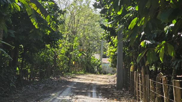 PN asegura investigaciones avanzan en "fase secreta" a 17 días de desaparición de niña en Imbert