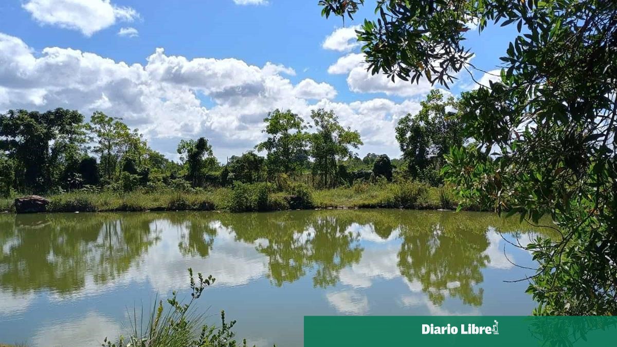 Investigan muerte de menor prospecto de béisbol hallado en laguna detrás de academia