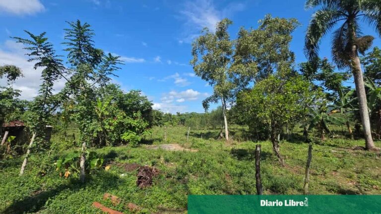 Nazario Mercedes: el recuerdo de un "monstruo" que aún persiste en Hato Viejo