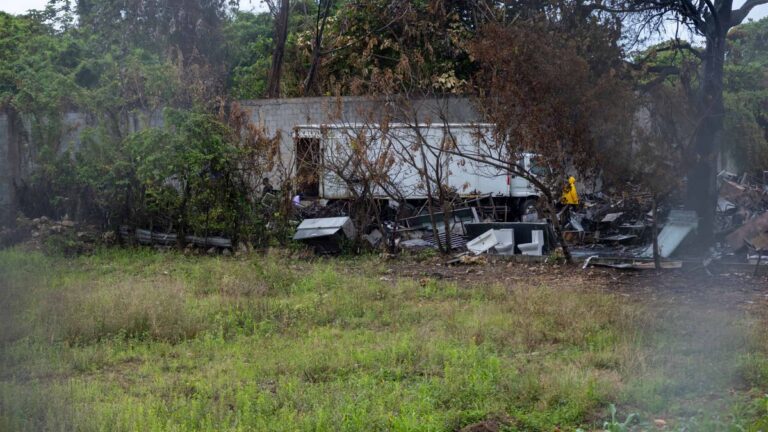 Fueron a quemar panales de avispas e incendiaron butacas en almacén del Minerd