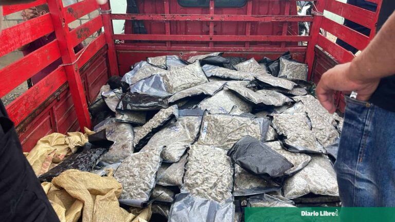 Decomisan 151 paquetes de presunta marihuana sintética en Azua