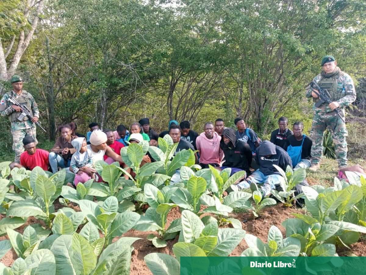 Detienen a 23 haitianos indocumentados en zona boscosa de Dajabón